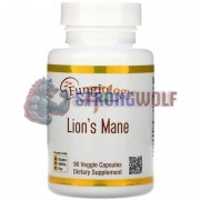 Lion's Mane [Львиная грива] (600 мг x 90 капс), Fungiology