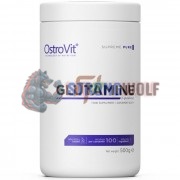 Glutamine (500 гр: 100 порций), OstroVit